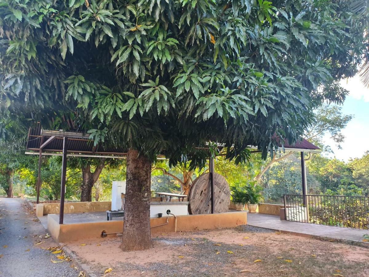 Pousada Do Rio Corrente Alvorada do Norte Exterior foto
